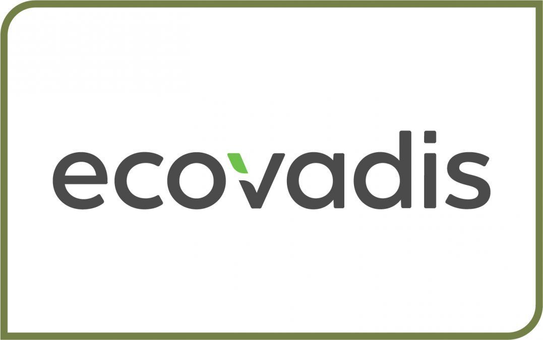 img-Ecovadis-1077x675