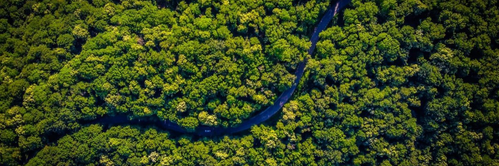 vlad-hilitanu-pt7QzB4ZLWw-unsplash-1200x675